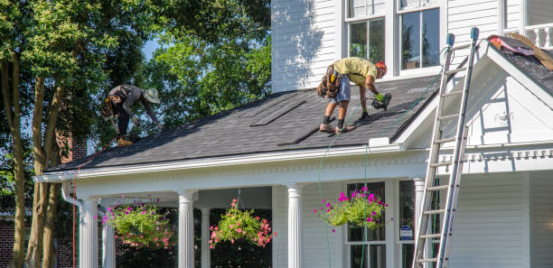 Best Roof Maintenance and Cleaning  in Herndon, VA
